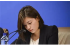 翻譯是一個復雜的過程